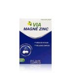 Via Magne Zinc Complex with Vitamin B6 & Vitamin B12